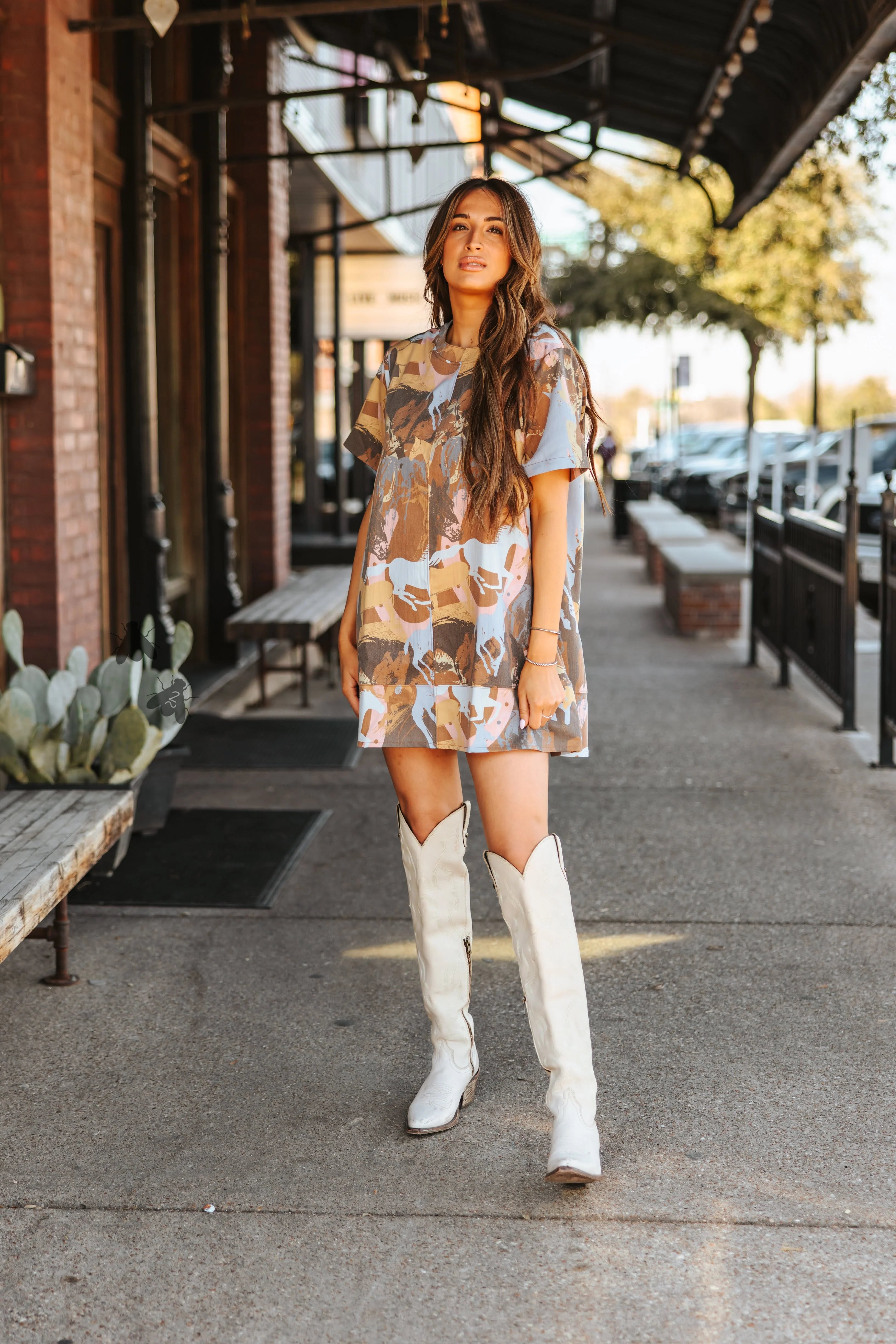 PONIES ON PONIES DRESS