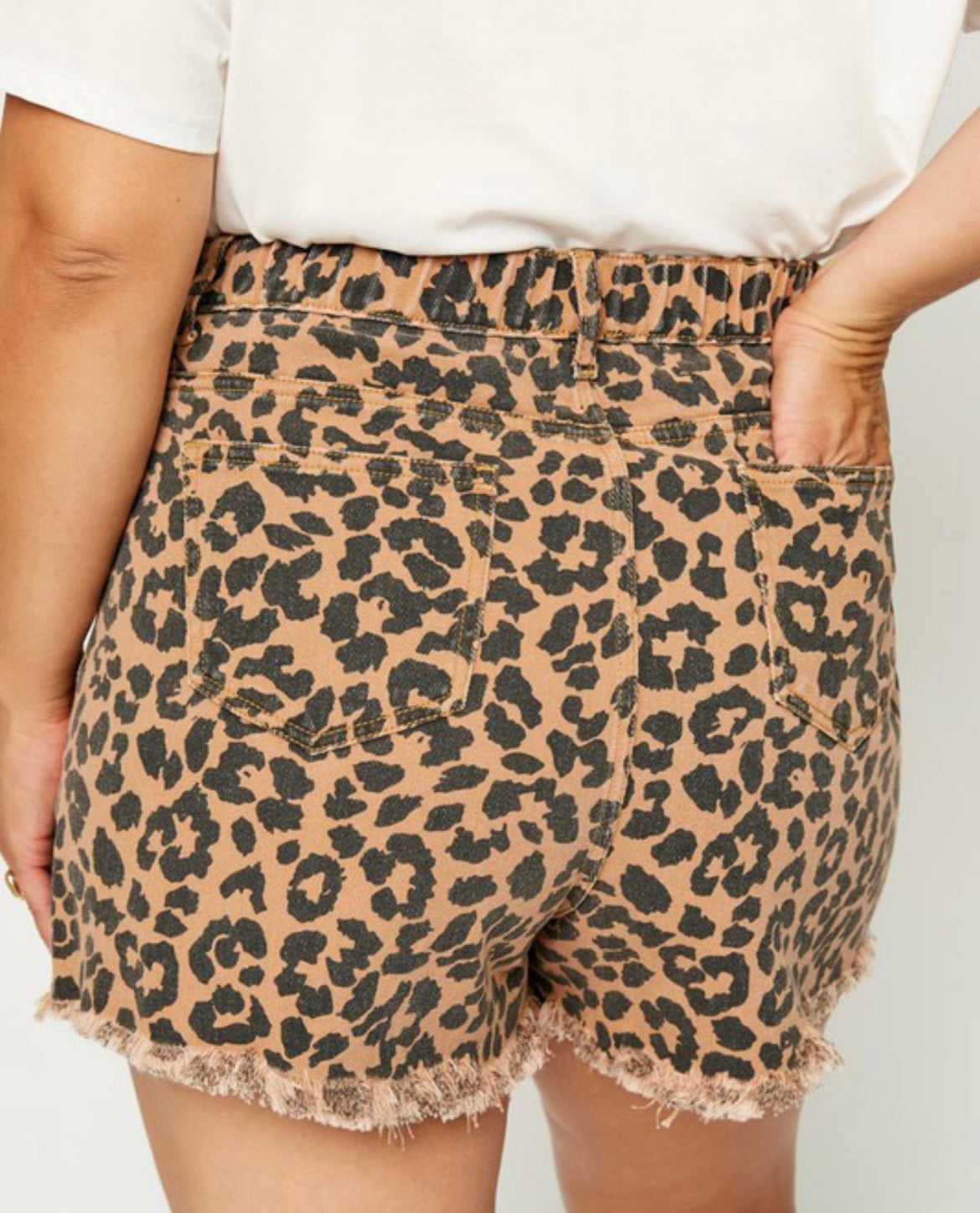 Curvy and Fabulous Denim Leopard Shorts